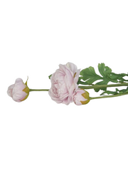 Flower ranunculus pink 90cm