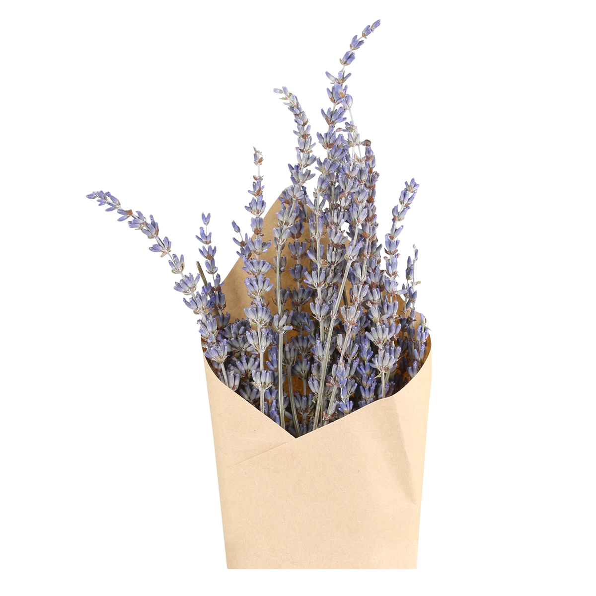 Fleur dried Lavender H60 cm lavender