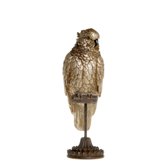 Parrot on foot H37.5/L12/W12.5 cm antique brass