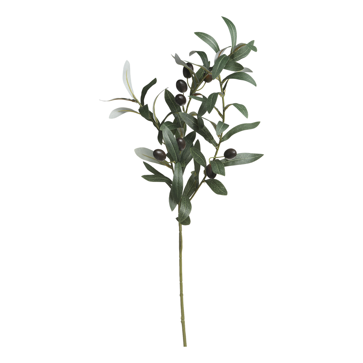 Fleur Olive Branch H74 cm nature