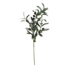 Fleur Olive Branch H74 cm nature