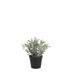 Fleur Plant H18/D8 cm green