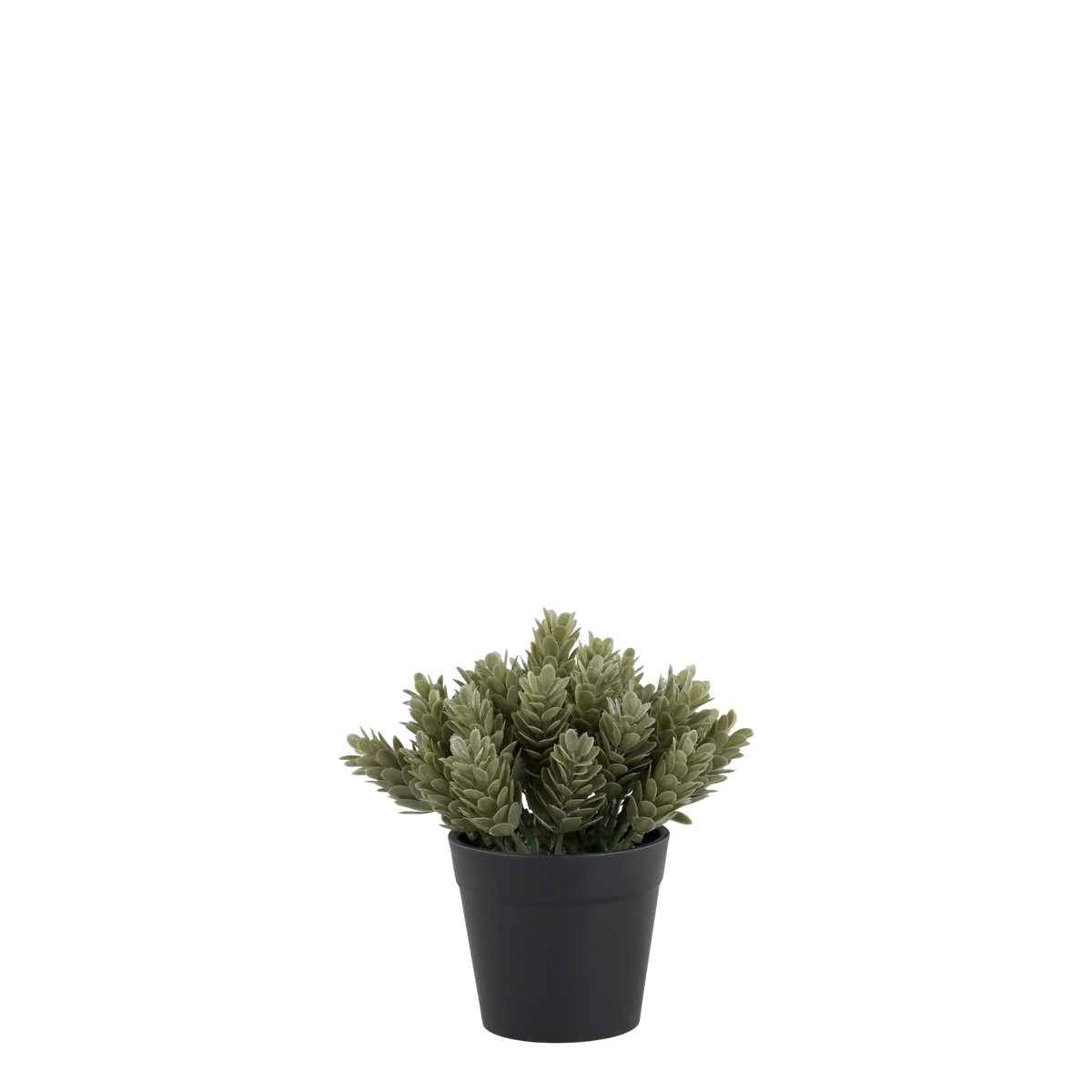 Fleur Plant H15/D8 cm green