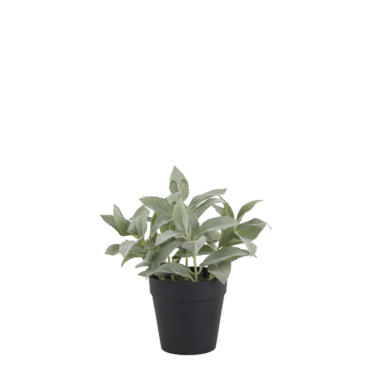 Fleur Plant H23/D10 cm green