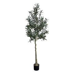 Fleur Olive Tree H170/D15 cm green