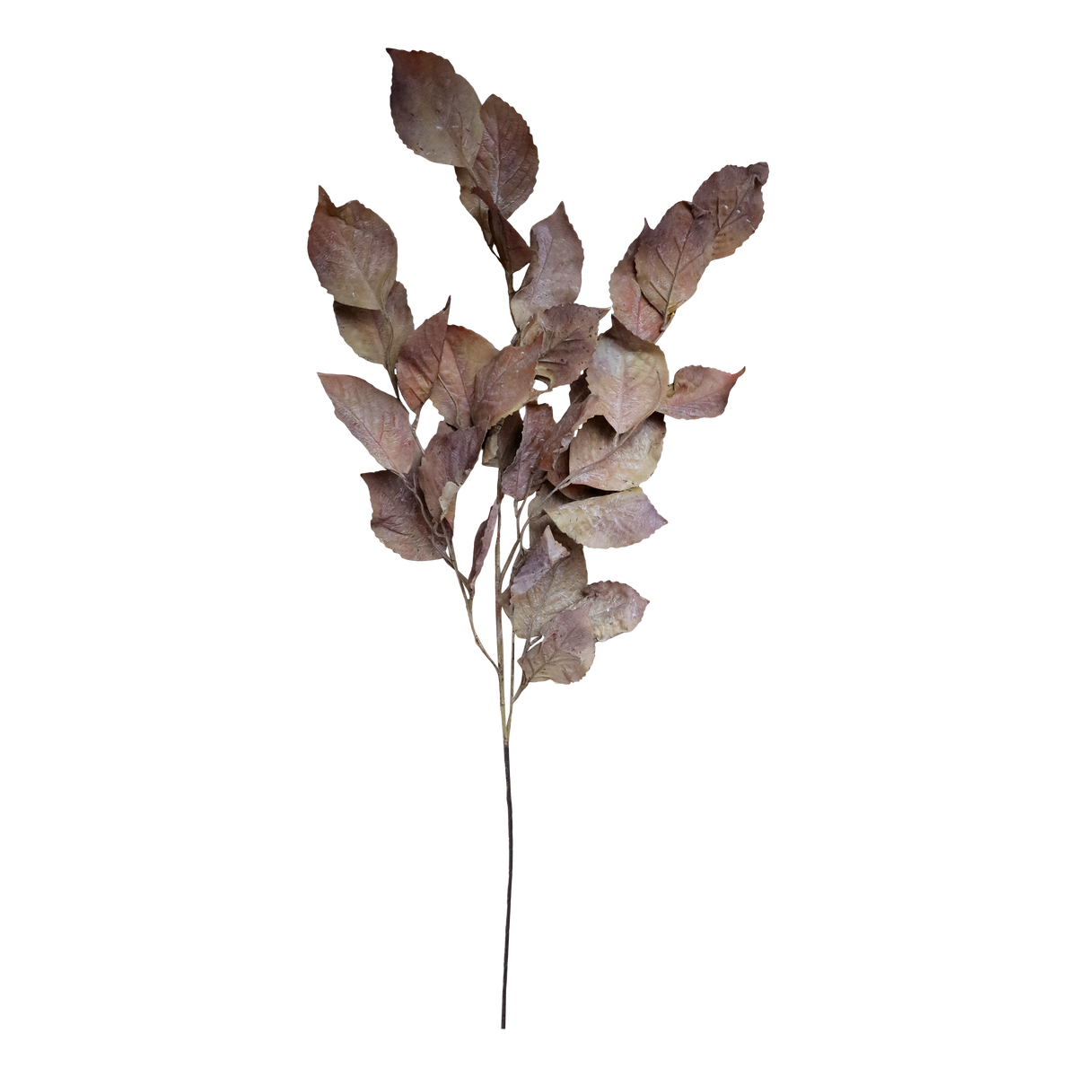 Fleur Branch w. leaves H104 cm terracotta