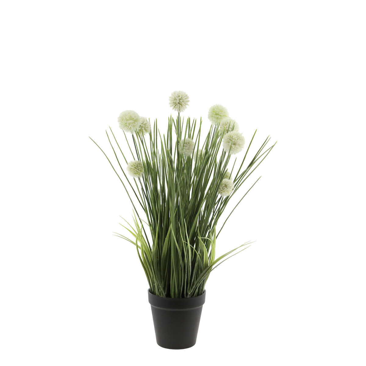 Fleur Chive H47/D25 cm green