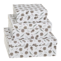 Box w. pine cones set of 3 H9/L25/W25 cm white