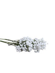 Kunstig brudeslør (gypsophila) stor